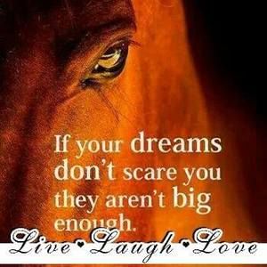 Meet your Posher, Dawn